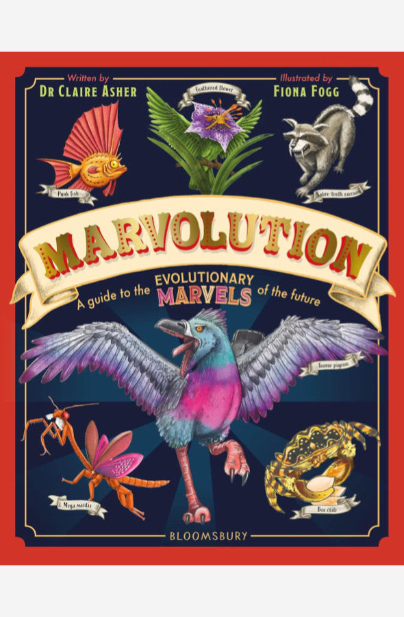 Book cover of Marvolution by Dr Claire Asher at Wild and the Sage, Galle, Sri Lanka