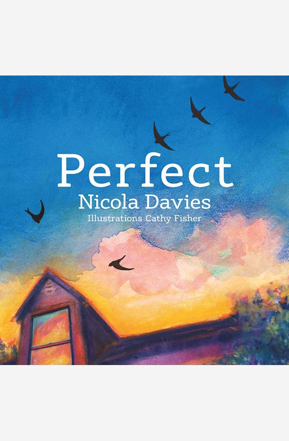 Book cover of Perfect by Nicola Davies at Wild and the Sage, Galle, Sri Lanka