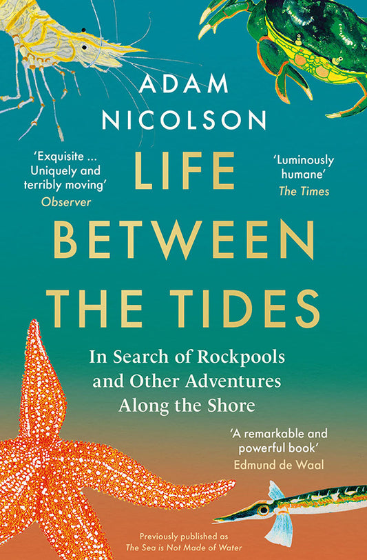 Life Between the Tides