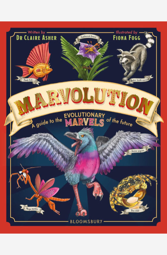 Book cover of Marvolution by Dr Claire Asher at Wild and the Sage, Galle, Sri Lanka