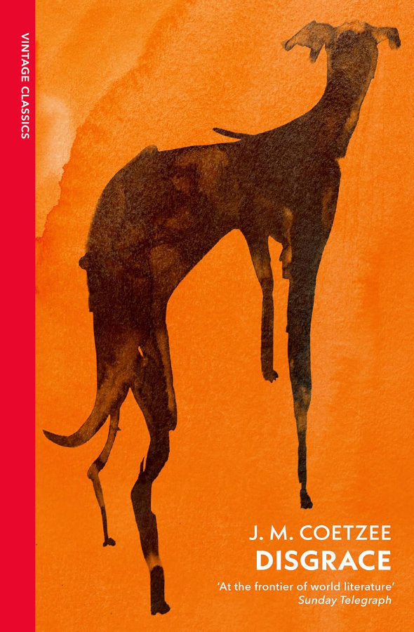 Book cover of Disgrace by J.M. Coetzee at Wild and the Sage, Galle, Sri Lanka