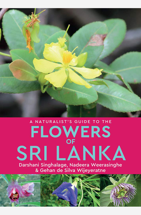 Book cover of A Naturalist's Guide to the Flowers of Sri Lanka by Gehan De Silva Wijeyeratne at Wild and the Sage, Galle, Sri Lanka