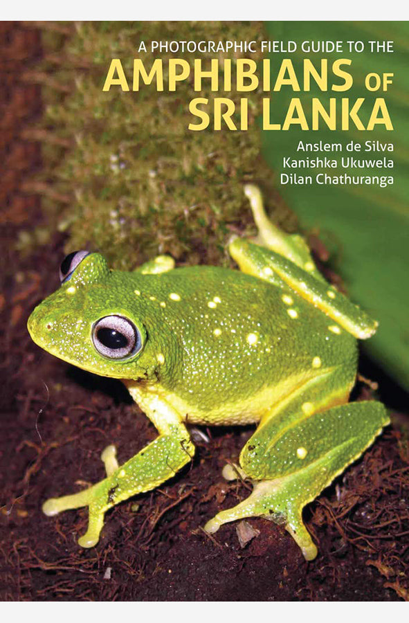 Book cover of A Photographic Field Guide to the Amphibians of Sri Lanka by Dilan Chathuranga,ÊKanishka Ukuwela at Wild and the Sage, Galle, Sri Lanka