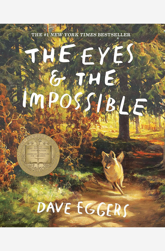 Book cover of The Eyes and the Impossible by Dave Eggers at Wild and the Sage, Galle, Sri Lanka