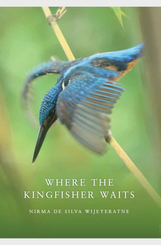Book cover of 'Where the Kingfisher Waits' with a kingfisher on a green background