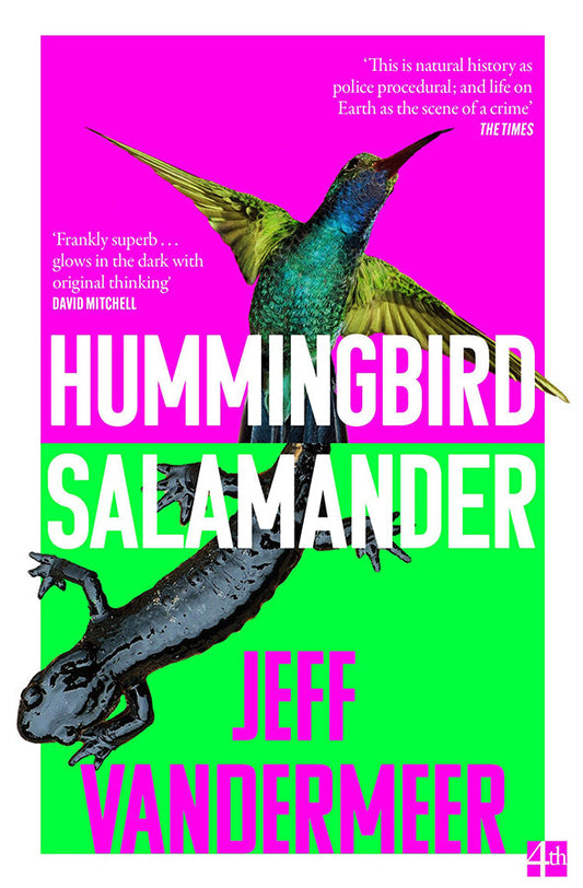 Hummingbird Salamander