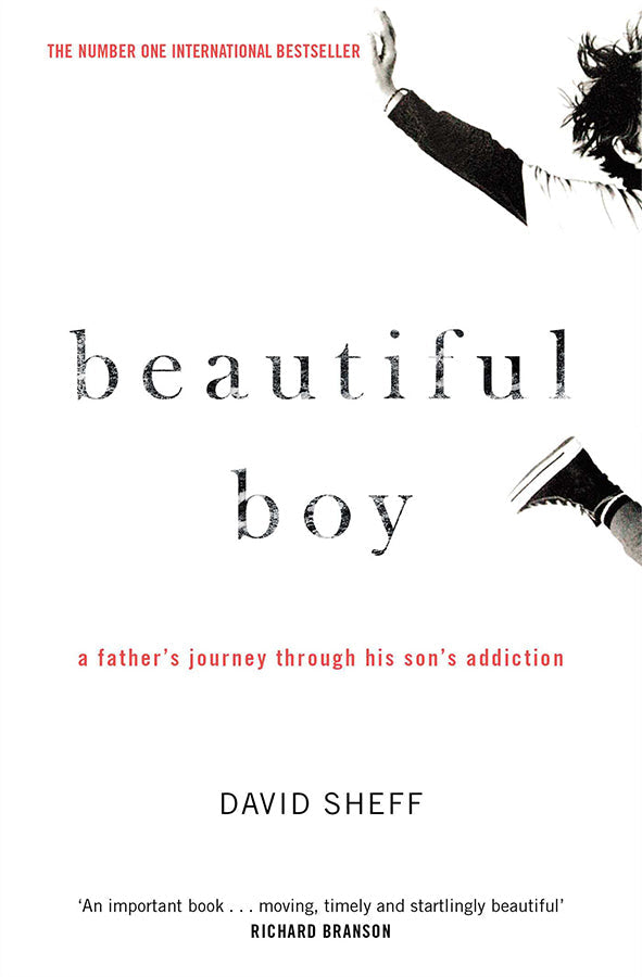 Book cover of Beautiful Boy by David Sheff at Wild and the Sage, Galle, Sri Lanka
