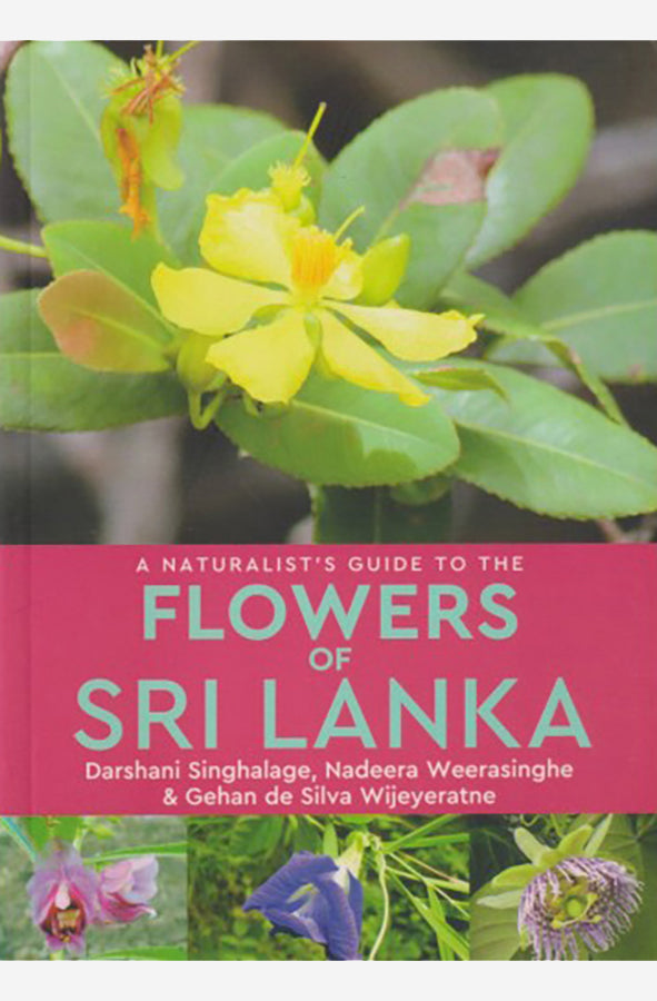 Book cover of Flowers of Sri Lanka by Darshani Singlage at Wild and the Sage, Galle, Sri Lanka