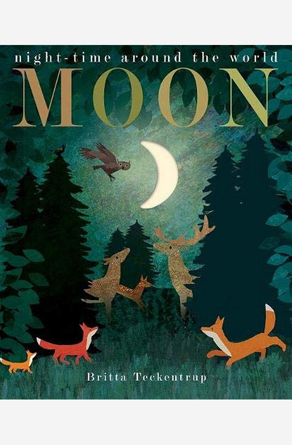 Book cover of Moon by Patricia Hegarty at Wild and the Sage, Galle, Sri Lanka