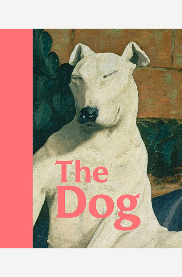 Book cover of The Dog by Emila Will at Wild and the Sage, Galle, Sri Lanka