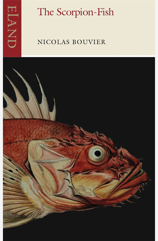 Book cover of The Scorpion Fish by Nicolas Bouvier at Wild and the Sage, Galle, Sri Lanka